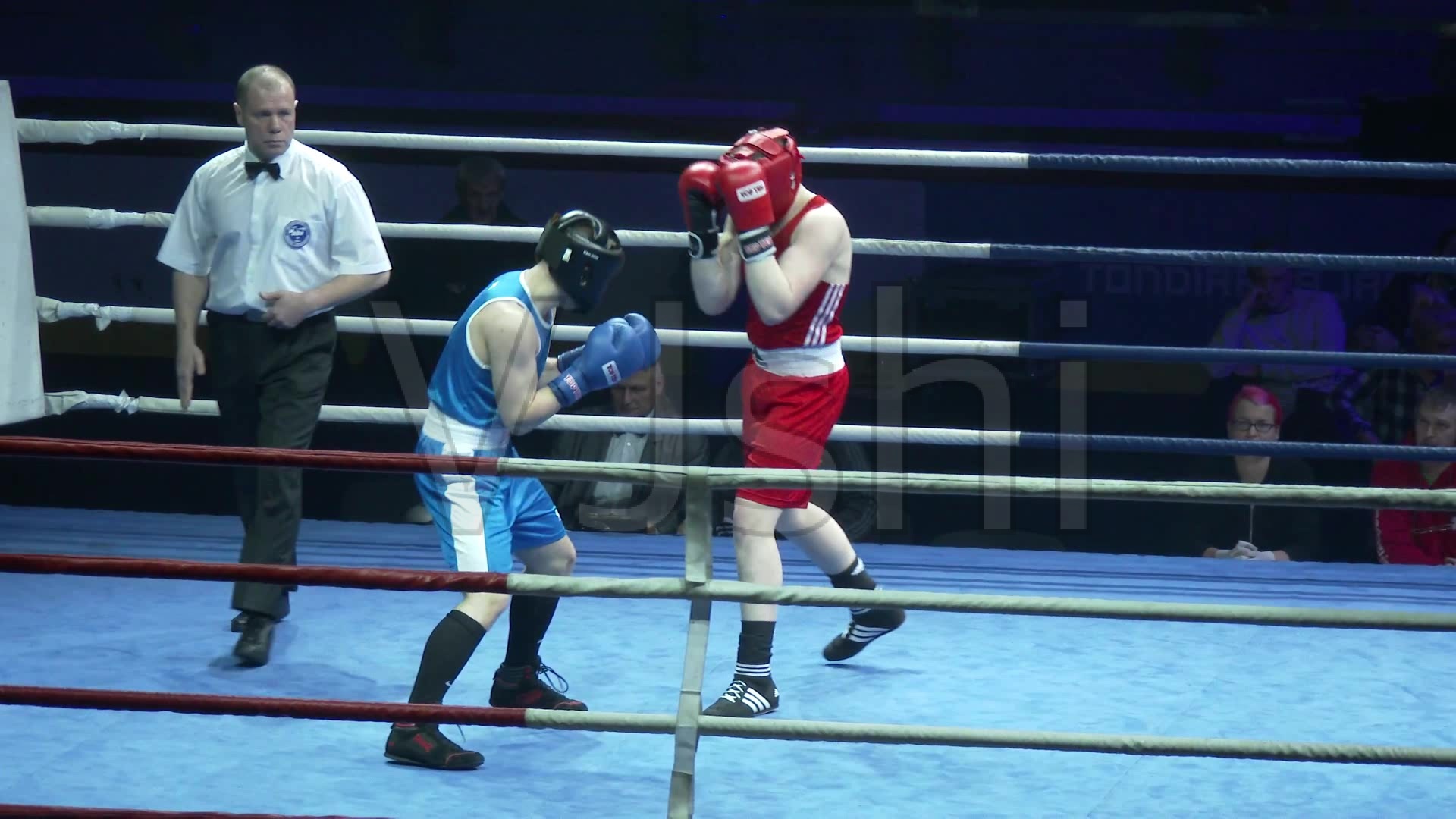 志勋自由搏击规则与主要赛事